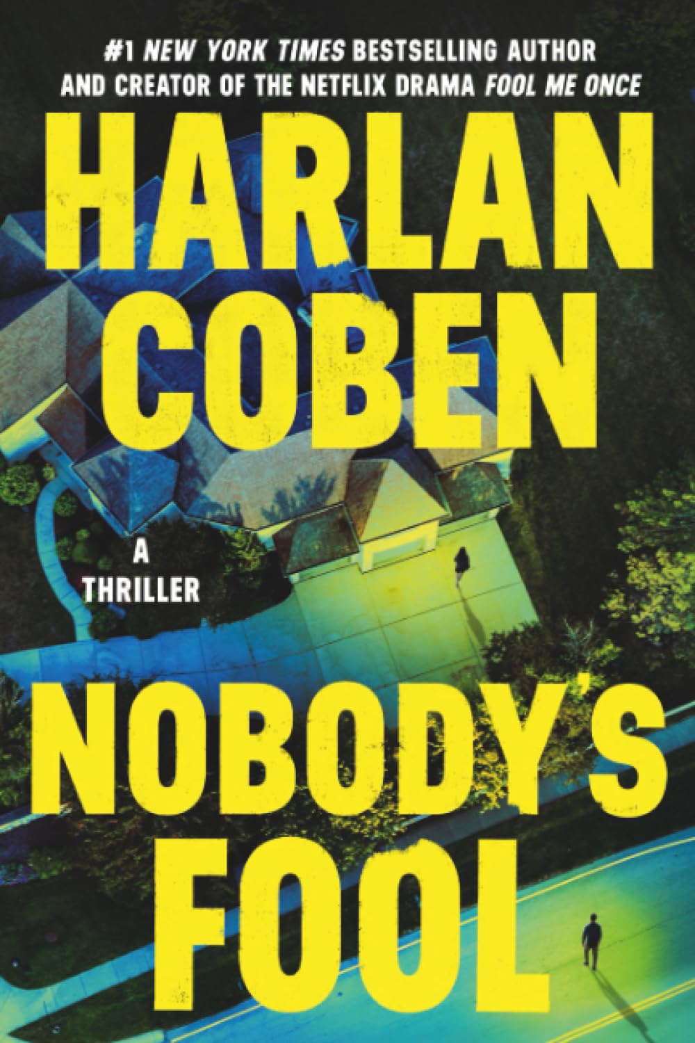 Nobody's Fool Paperback